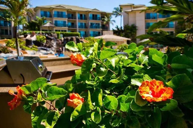 Waipouli Beach Resort Exquisite Ground Floor Pool View Kapa'a 0*,