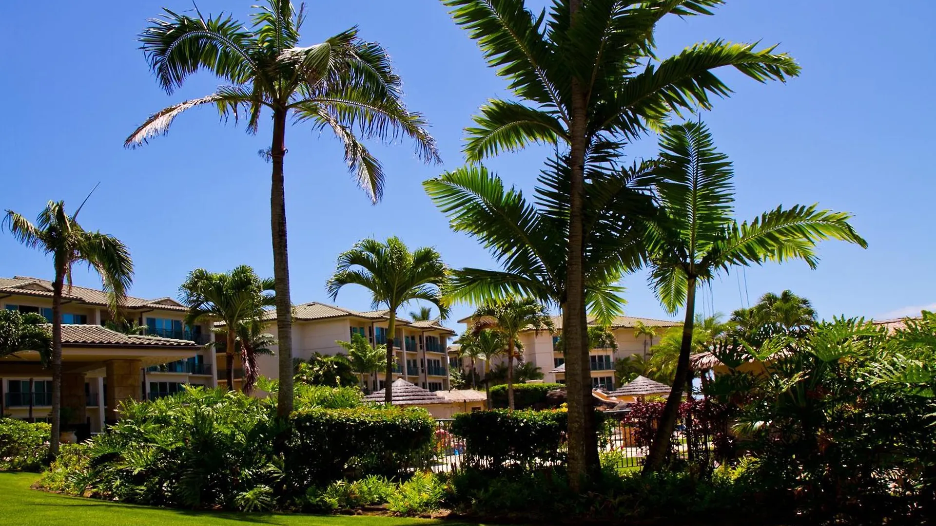 Apartment Waipouli Beach Resort Exquisite Ground Floor Pool View Kapa'a